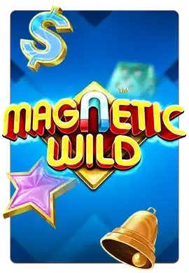 Magnetic Wild slot